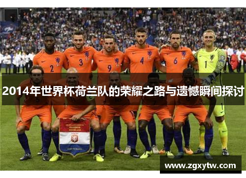 2014年世界杯荷兰队的荣耀之路与遗憾瞬间探讨