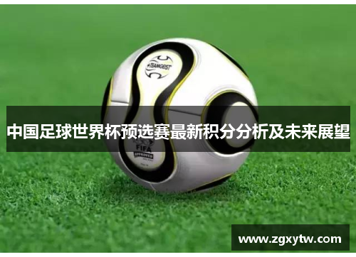 中国足球世界杯预选赛最新积分分析及未来展望