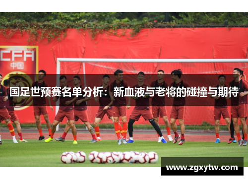 国足世预赛名单分析：新血液与老将的碰撞与期待